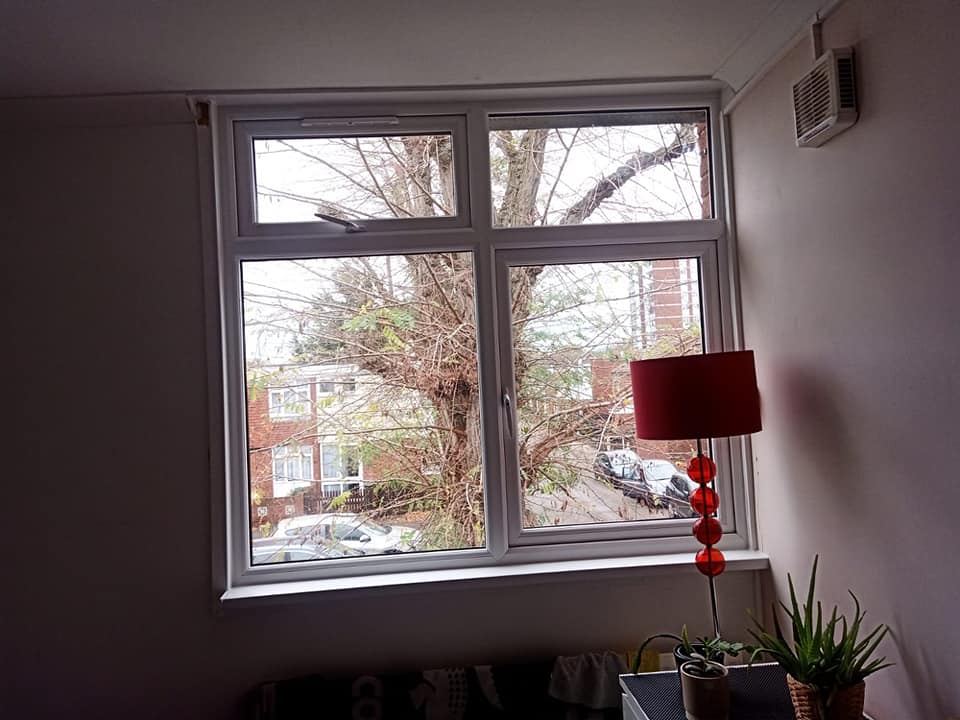 Window Installation